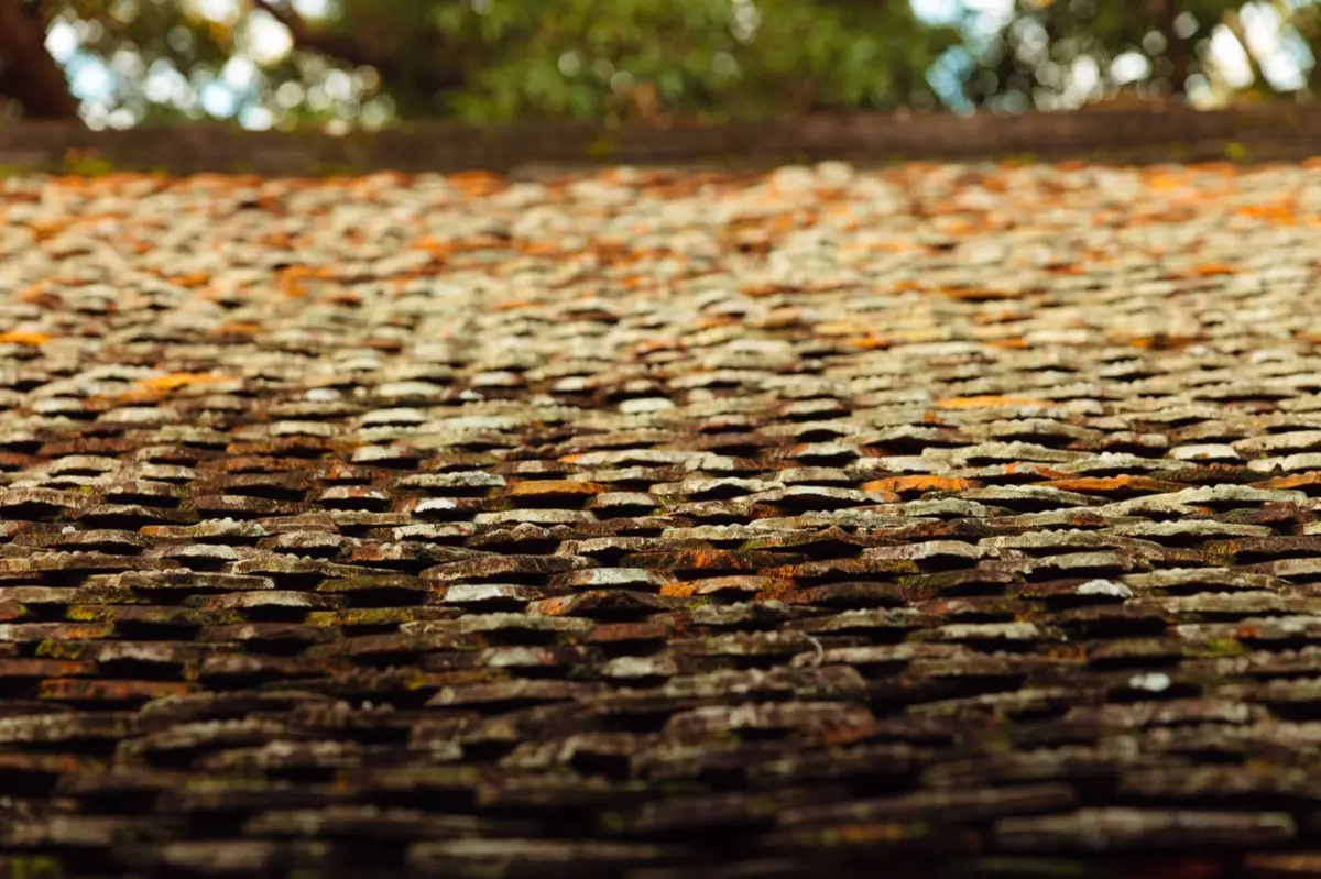 Roof Coatings & Sealing in Marana, AZ